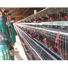 Hot Selling types of battery cage system in poultry